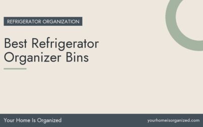 Best Refrigerator Organizer Bins