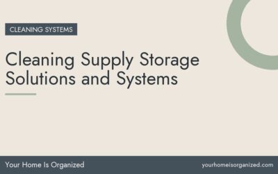Cleaning Supply Storage Solutions and Systems