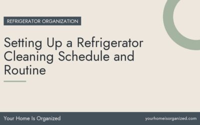 Setting Up a Refrigerator Cleaning Schedule and Routine